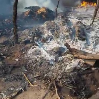 Food Relief Project to IDPs Yola, Adamawa State | December 2025